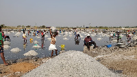 Some workers harvesting salt from the Electrochem enclave