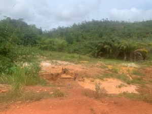 Denkyira Galamsey