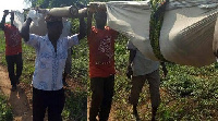 Pregnant woman carried on bamboo stretchers