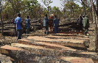 The company was mainly into cutting, processing and smuggling rosewoods from the area