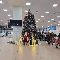 Christmas tree at the airport