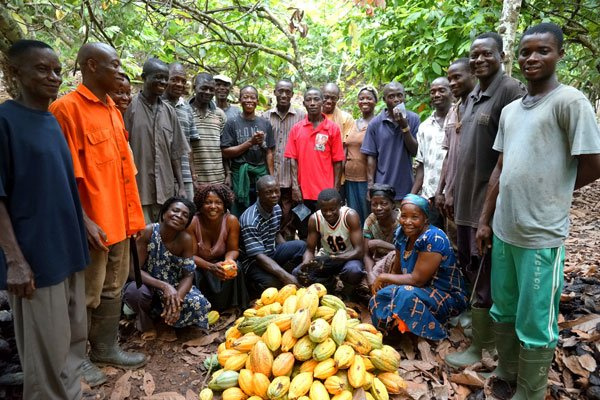 Some oragnic crop farmers in a pose