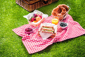 A picnic date