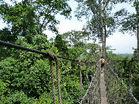 Kakum National Park