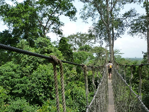 File photo of the Kakum National Park