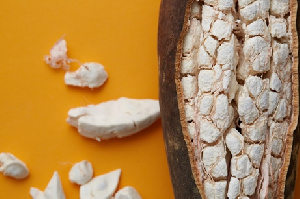 Baobab fruit opened