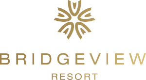 BridgeView LOGO PNG (1).png