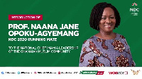 Professor Jane Naana Opoku-Agyemang is Mahama's running mate