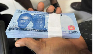 Fresh Naira Notes  