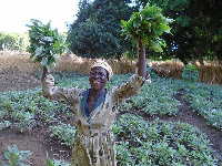 International Day of Rural Women