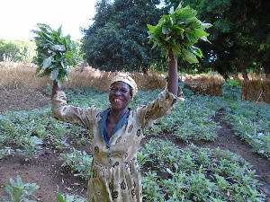 International Day of Rural Women