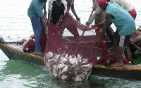 Small-scale fisheries play a significant social, cultural and economic role in development