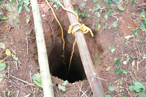 Some of the skeletal remains were exhumed from this abandoned well