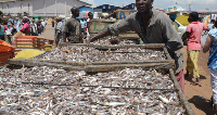 Government to develop fishing and salt industry in Ada West and East disticts