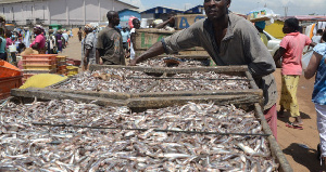 Man dries fish.