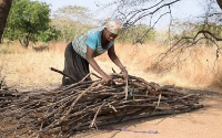 Demzooya Sampana got married to a farmer at Nangodi