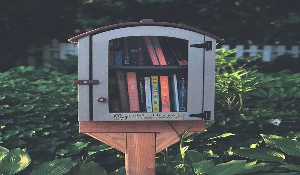 Little Libraries New 1