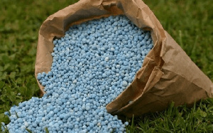 Fertiliser Subsidy