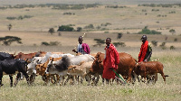 File Photo: Nomadic herdsmen