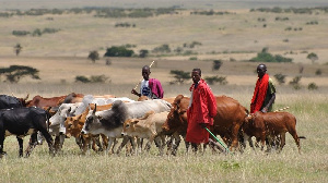  117655580 Fulani Herdsmen 1