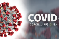 Coronavirus pandemic