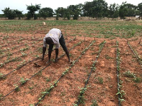 Ghana Youth Agriculture Summit set for October 25 at UPSA