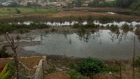 The current state of the lagoon and the mangrove in the community