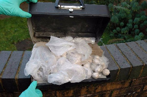 Some of the seized bags of drugs