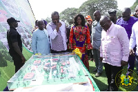 President Nana Addo Dankwa Akufo-Addo inspecting the plan