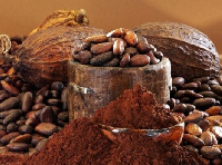 File photo: Cocoa beans and powder