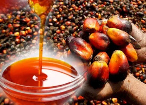 Oil Palm Ezgif.png