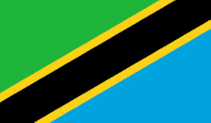 Tanzania Flag 22.png
