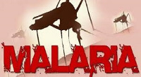 Ho sees decline in malaria cases