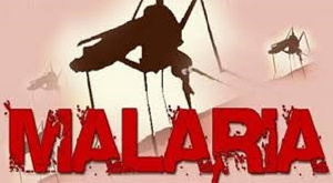 The organisation says it is aiming at ensuring that no malaria cases are recorded in Ghana