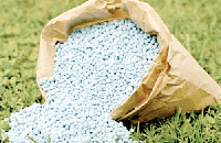 The fertiliser subsidy programme introduced in 2017 targeted smallholder farmers