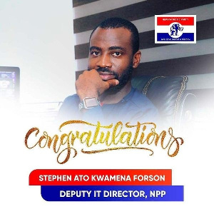 NPP Deputy IT Boss