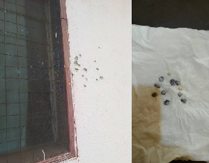 The gunshot woke her, and she discovered pellets on her bed