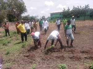 Members Of The Greening Northern Ghana Planting Some Grasses