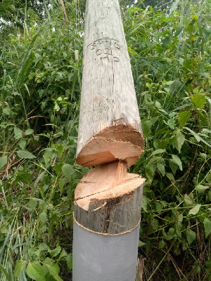 The pole was reportedly cut with a chainsaw machine