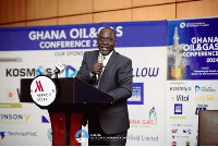 Egbert Faibille, CEO of the Petroleum Commission, highlighted ongoing appraisals and collaborations