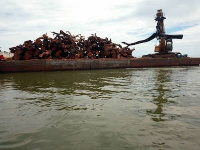 Tree stumps cleared by KKTR on the Volta Lake