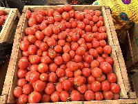 Tomatoes