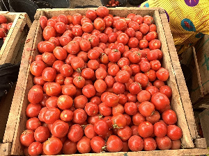 Tomatoes