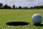 File photo of a golf ball on a turf