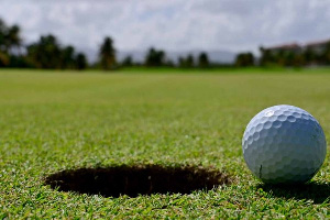 File photo of a golf ball on a turf