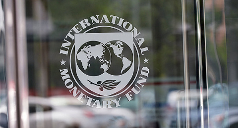 Logo for the International Monetary Fund