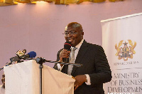 Vice President, Dr Mahamudu Bawumia