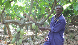 Odonkor Isaac Langmatey, Farmer