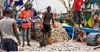 We need landing bay wharf to enhance smooth fishing - Komenda Fishermen Council, Central region