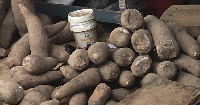 Traders report that insufficient rainfall has led to a yam shortage